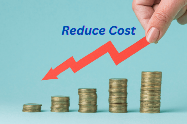 Ways of Reducing IT Costs